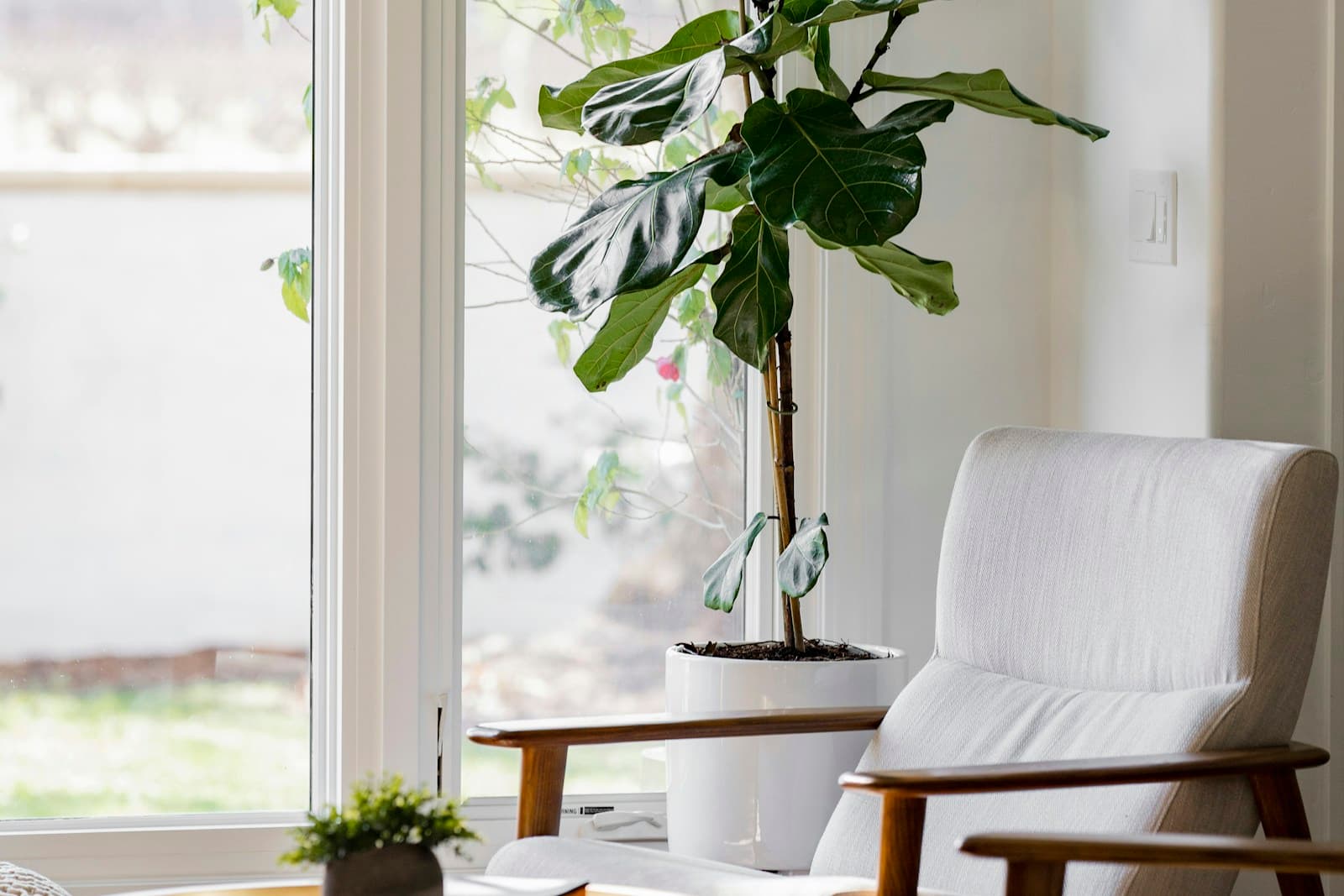 Modern Japandi living room shelf with a lucky bamboo arrangement in a glass vase, soft natural light, and minimalist wood decor.